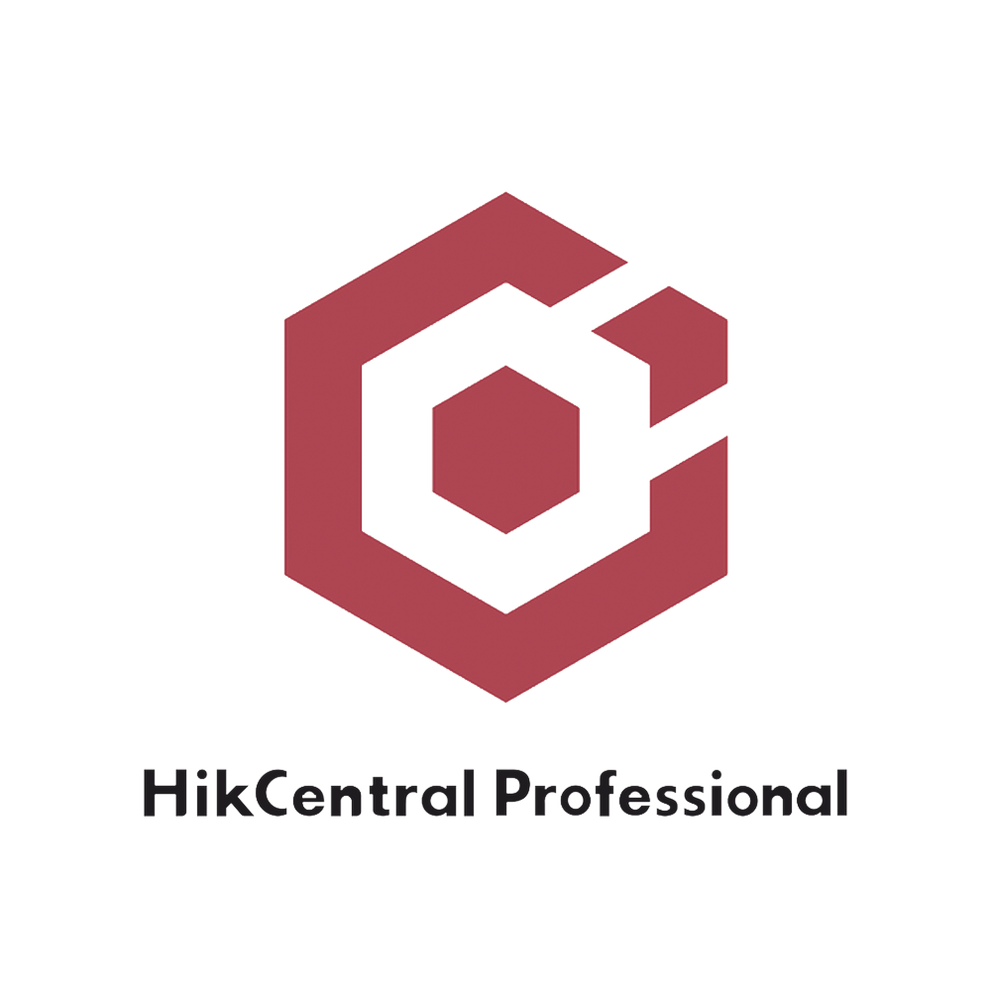 HikCentral Professional / Licencia Añade 1 Canal Adicional de Video Para HPP (HikCentral-P-VSS-1Ch/HPP)