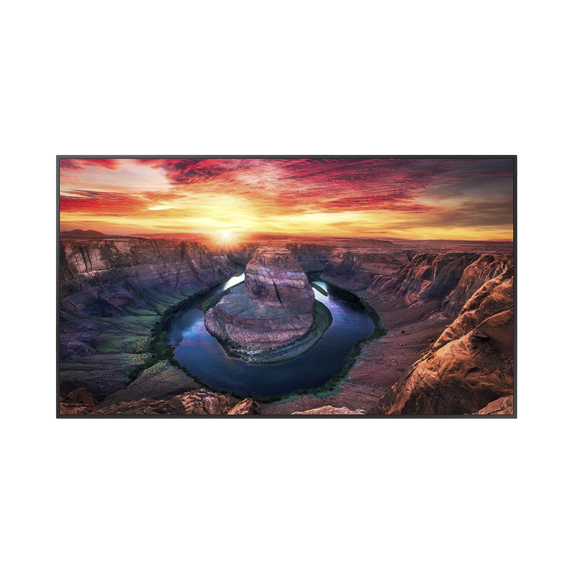 Pantalla Profesional LED de 65", UHD 4K (3840x2160p), Entradas de Video HDMI/DisplayPort, Bocinas Integradas de 10 W. Compatible VESA. Modo de Simulación DICOM
