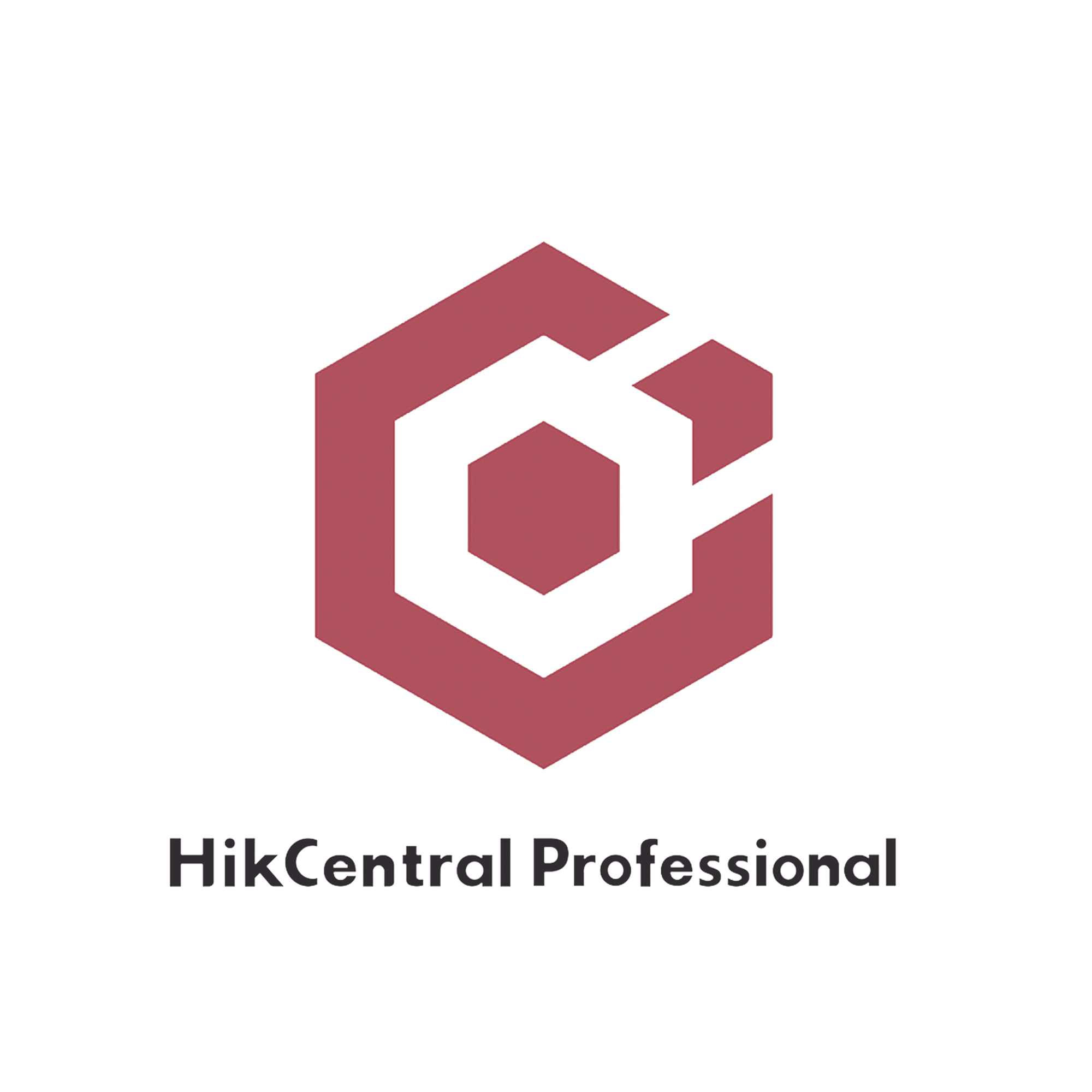 Hik-Central Professional / Licencia para Servicio de Actualización Remota por Cámara 3 años (SUP - 1 Camera / 3 Years Upgrade)