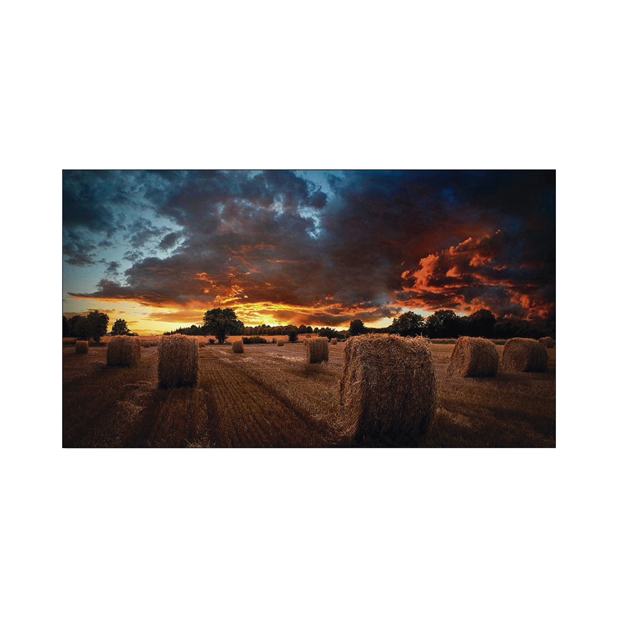 Pantalla Profesional LED de 55" para Video Wall, Full HD (1080p), HDMI/DVI-D/DP, Bisel Ultra Delgado de 2.3mm. Compatible VESA