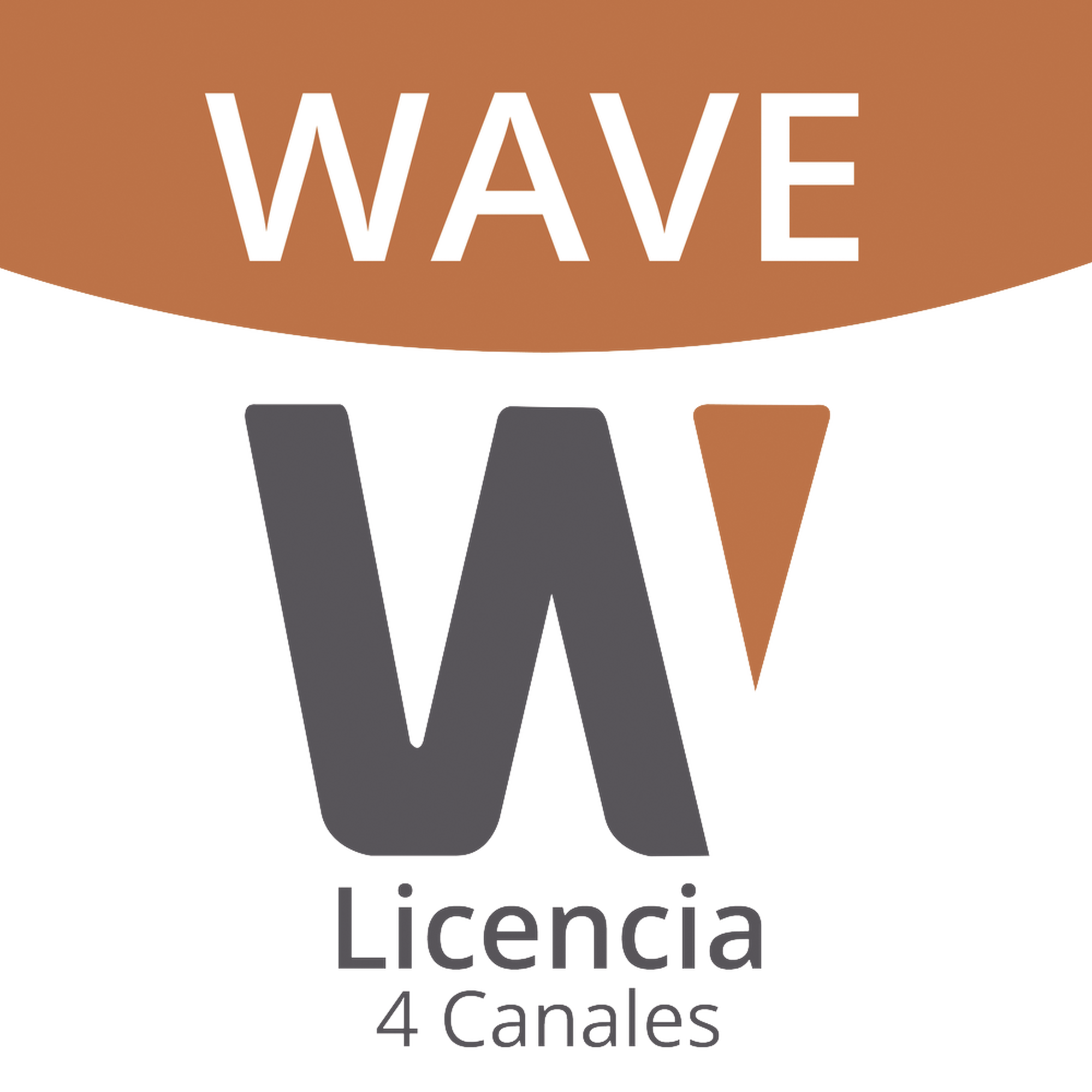Licencia de 4 Canal de Wisenet Wave Profesional