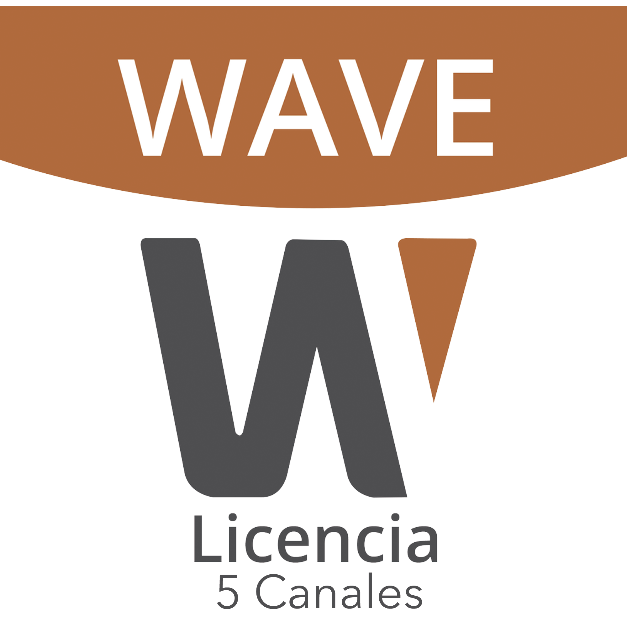 Licencia de 5 Canales de Wisenet Wave Profesional