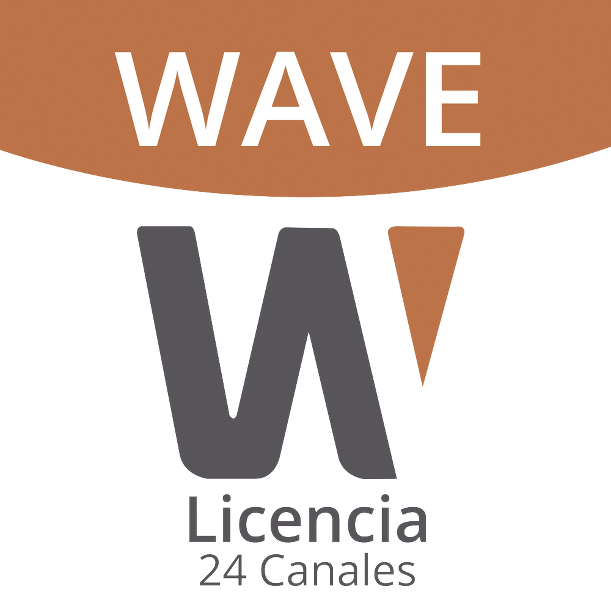 Licencia de 24 Canales de Grabación Wisenet Wave Profesional