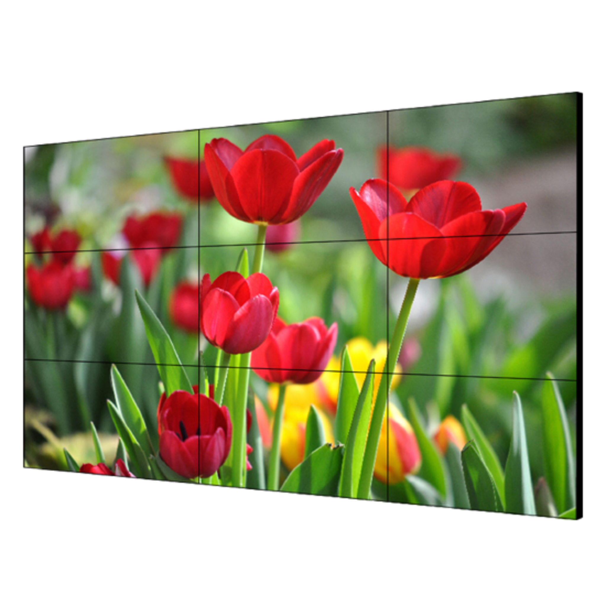 Pantalla LCD 55" para Videowall / Entrada HDMI - VGA - DVI - DP / Monitor Robusto / Bisel Delgado (3.5 mm) / Daisy Chain (Conexion en Cadena sin Software)